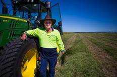 Rhodes Grass hay at the Broome North Wastewater Treatment Plant